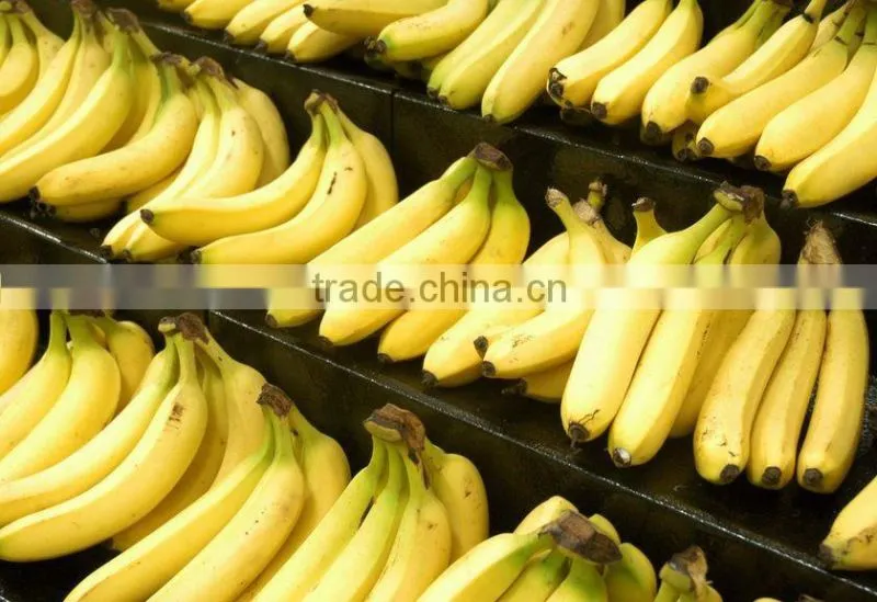 Banana Pulp Powder / Spray Dried Banana Powder / Powder of Banana