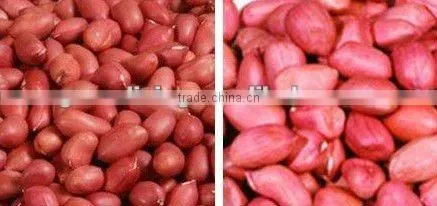 50/60 red skin peanut kernels ,shandong peanut kernels in china