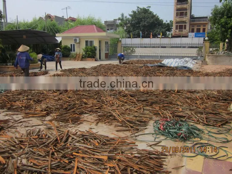 Vietnam Split Cassia - High quality (Skype: visimex02)