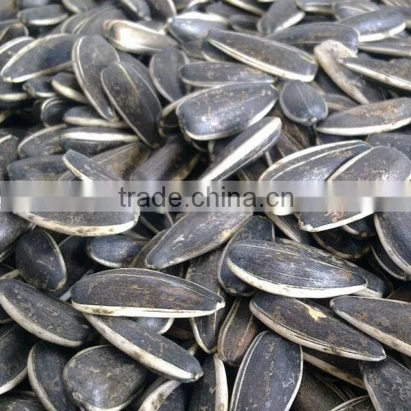 Low price sunflower seeds