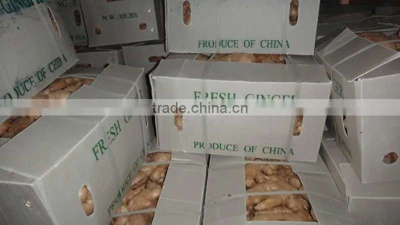 2016 China fresh ginger for sale