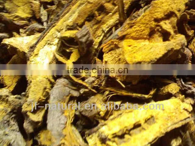 polygonum root extract
