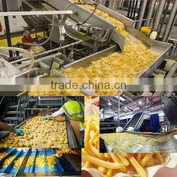 2014 stainless steel garlic processing machine