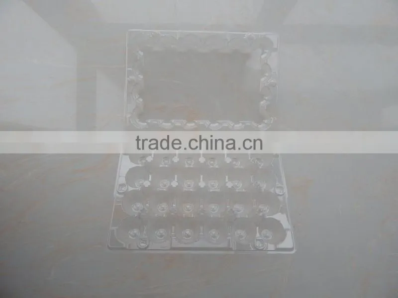 Transparent PVC egg tray for 24 quail eggs