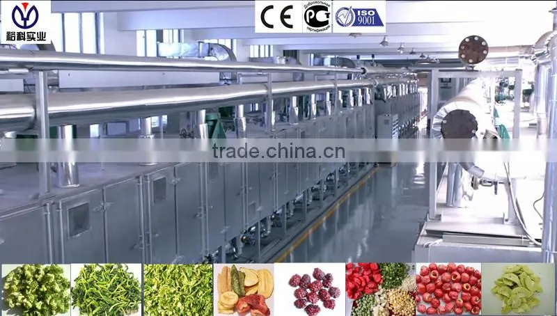 15m stainless steel mesh belt commercial tropical fruits and vegetables dehydrator/drying machine/dryer hot selling in Singapore