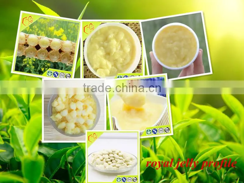 Actively Fresh 2.0 10-HDA Royal Jelly For Improving Immune System