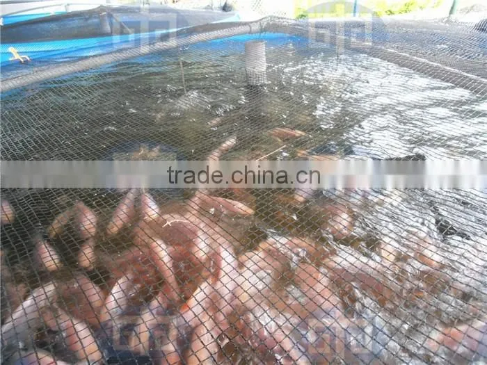 Aquaculture polyethylene fish tanks for shrimp