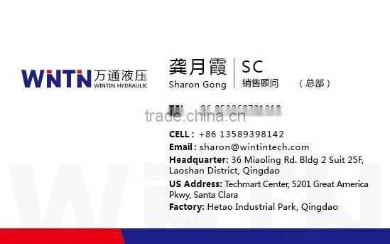 hydraulic car lift cylinder supplier for more than 30 years