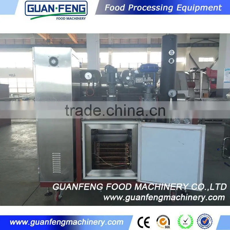 Professional Fruit Lyophilizer Equipment Industrial Lemon Drying Machine