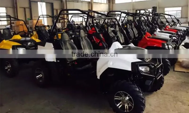 250cc Automatic 2WD transmission go kart/ sport UTV (TKG200-A2)