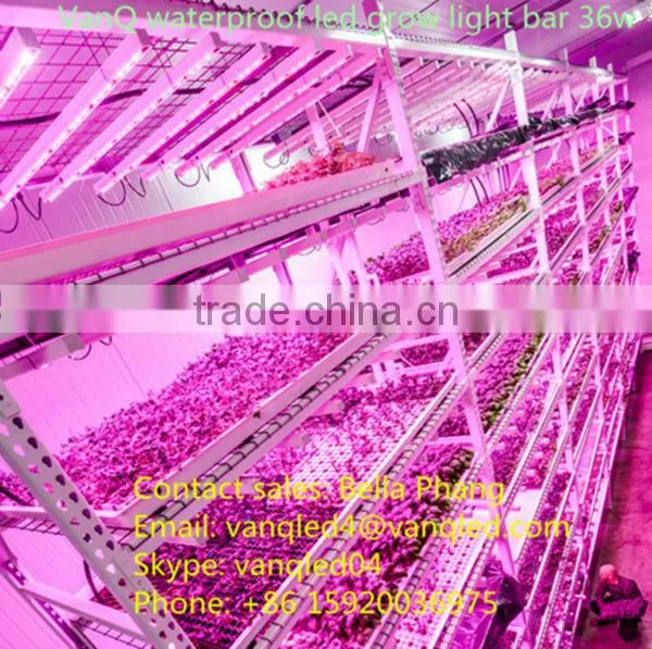 Wholesale abibaba 54x1W LED grow bar light for vertical farming