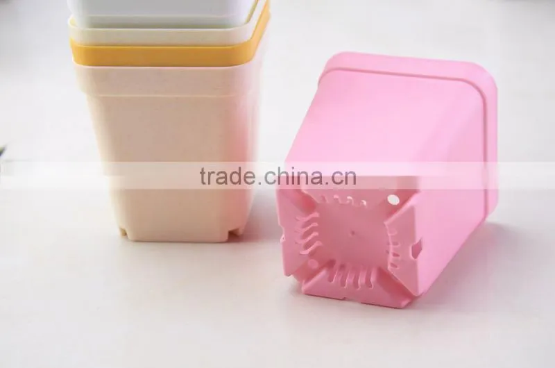Plastic Colorful Small Square Flower Pots Without Pallet -3 inch
