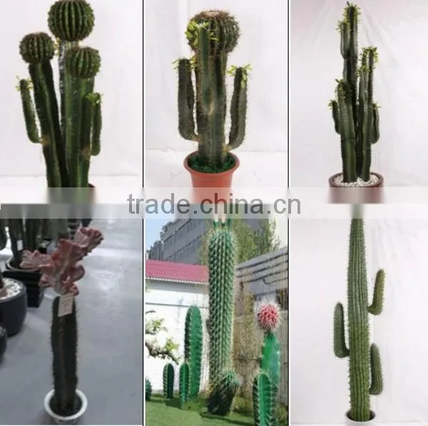Q111925 China wholesale plastic artificial moss home decoration moss ball