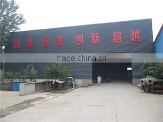 Linyi Yongxin Timber & WPC Co., Ltd. company overview - view 2