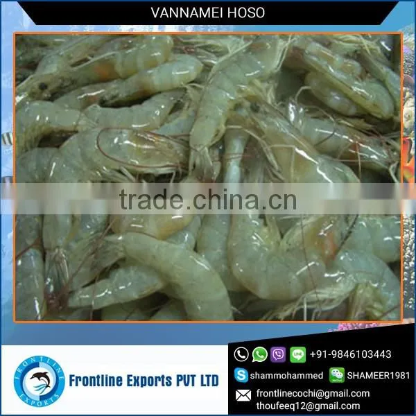 100% Fresh Frozen Vannamei Hoso at Affordable Price