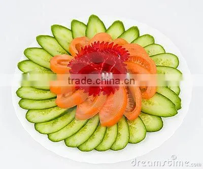 Multifunction Manual Vegetable Slicer,Fruit Cutter,Onion Chopper