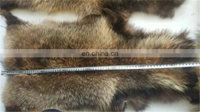 High quality genuine Raccoon fur skin for coat /garment