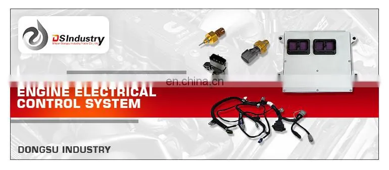 QSC Fuel Injection Pump Actuator 4089661