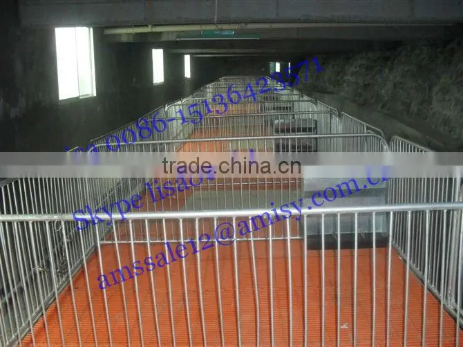 2.4*1.8m piglets nursery crate