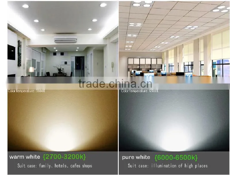energy saving 10W IP65 led down light COB chip China