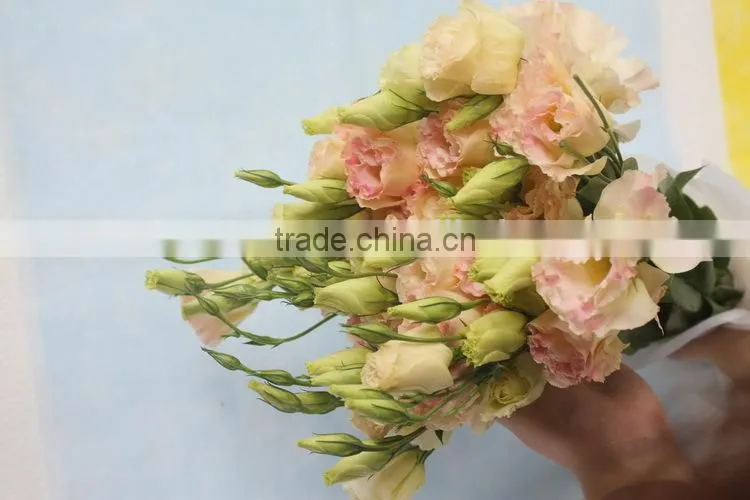 Fresh top sell wholesale fresh lisianthus flower