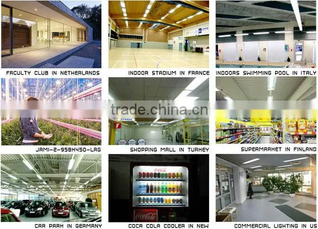 led light T8 bulb UL DLC listed