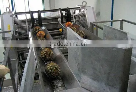 Mango pineapple processing line