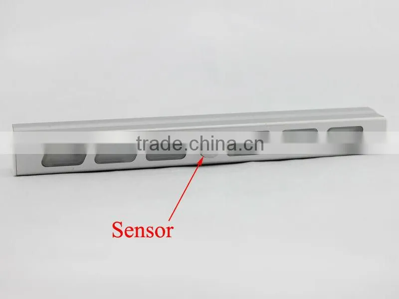 Aluminum Material 6LED Indoor Motion Sensor Light