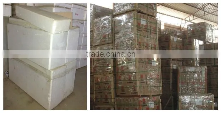 3d inkjet exterior wall tile with high quality 300x600mm