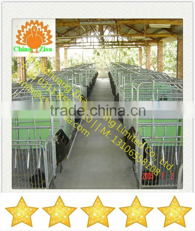 pig farming equipment
