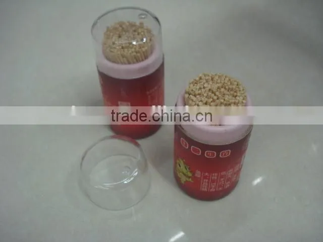 cheap plastic tube double point wooden and bamboo toothpick