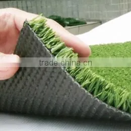 Grassland for Golf