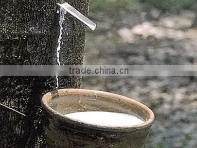 Rubber band for Stationery - Money - Vegetables - Household