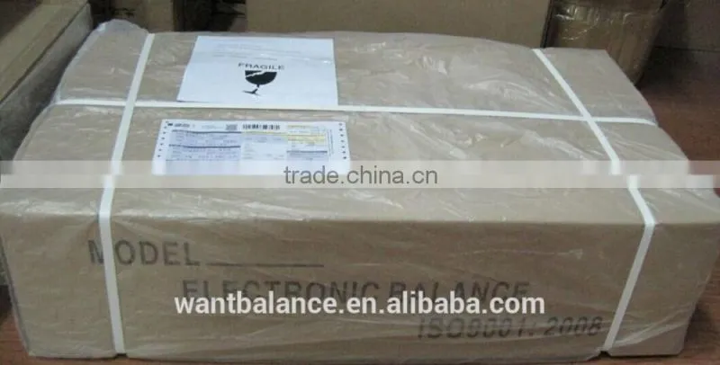 300kg scale model