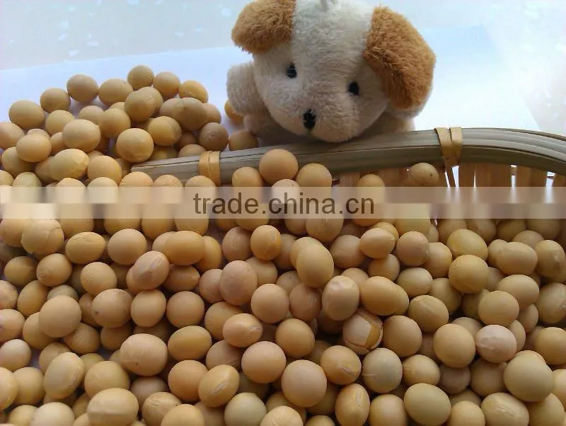 Organic Soybeans( New Crop, Heilongjiang Origin)