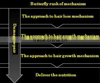 Butterfly Lush Japanese cosmetic eyelash serum for women