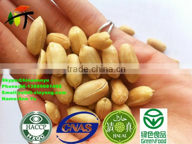 Hot sale sated broad beans fava beans price