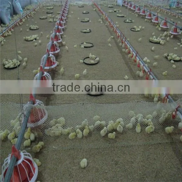 automatic poultry feeder