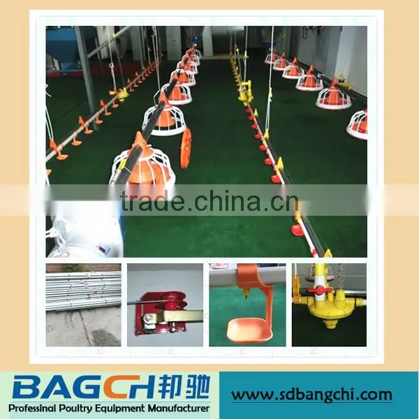 Automatic Poultry Equipment for Broiler Chicken