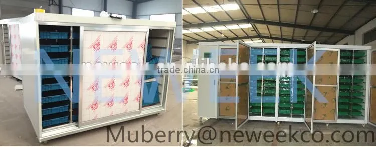 Neweek combine heating tube hydroponic wheat corn alfalfa sprouting machine