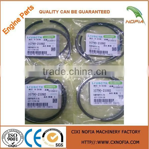 Assy Piston Ring 1G790-21092 Piston Ring Piston Ring 0.25 V2203 Piston Ring