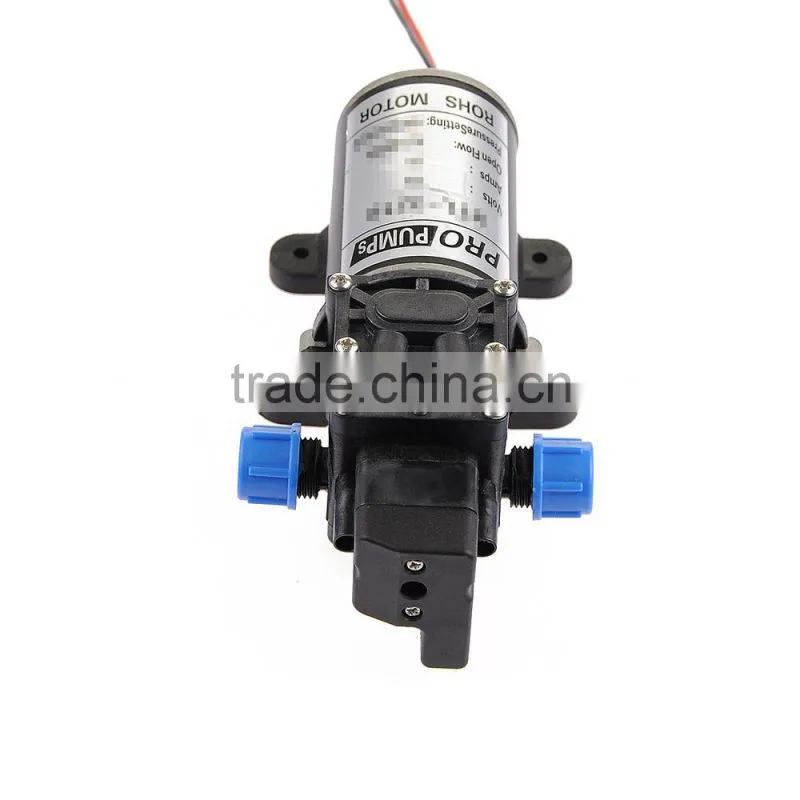 Hot Sale Car Wash Micro Diaphragm High Pressure Water Pump with Automatic Switch