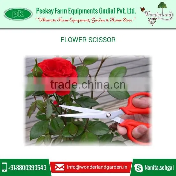 Small New Style Garden Scissor with Top Cover from Top Ranked Supplier