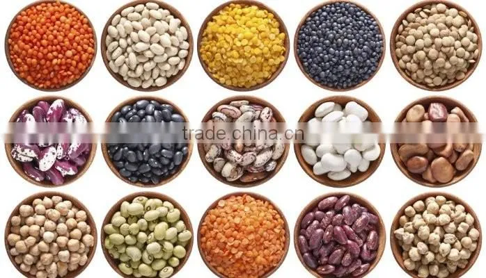 High Quality Ormosia Color Sorter/color sorting for coffee