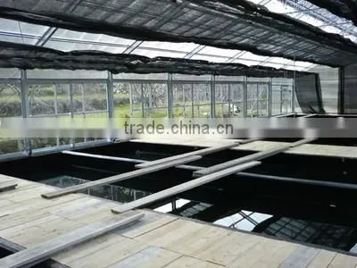 Multi-Span Greenhouse With vegetable aquaculture system