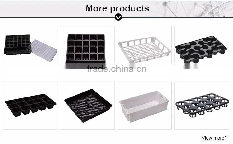 hot sale 77 cells plastic plug tray