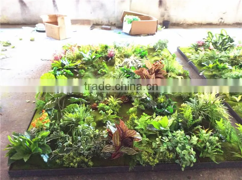 Home garden wedding decoration 200cm*100cm green original succulent with moss carpet grass wall E03 0506