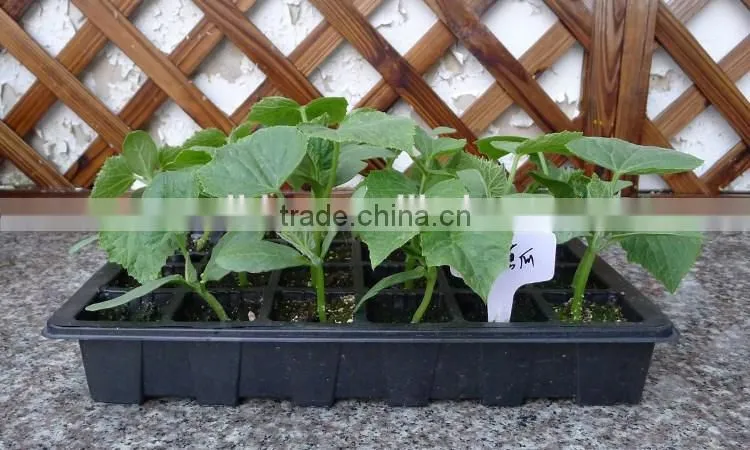 OEM vacuum forming plastic seed starting tray with lid