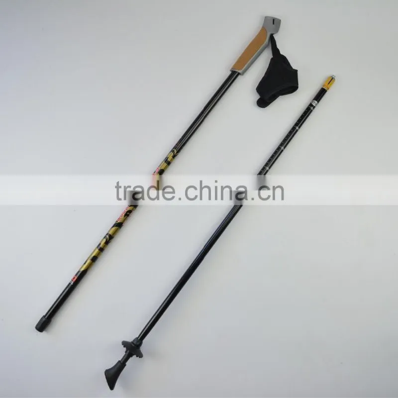 Wholesale new arrival gs approved 100% carbon nordic walking stick