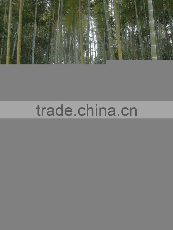 Carbonized Horizontal 2 Layers Matt Finish Bamboo Wall and Ceiling Panel With Durable Quality For Indoor Use
